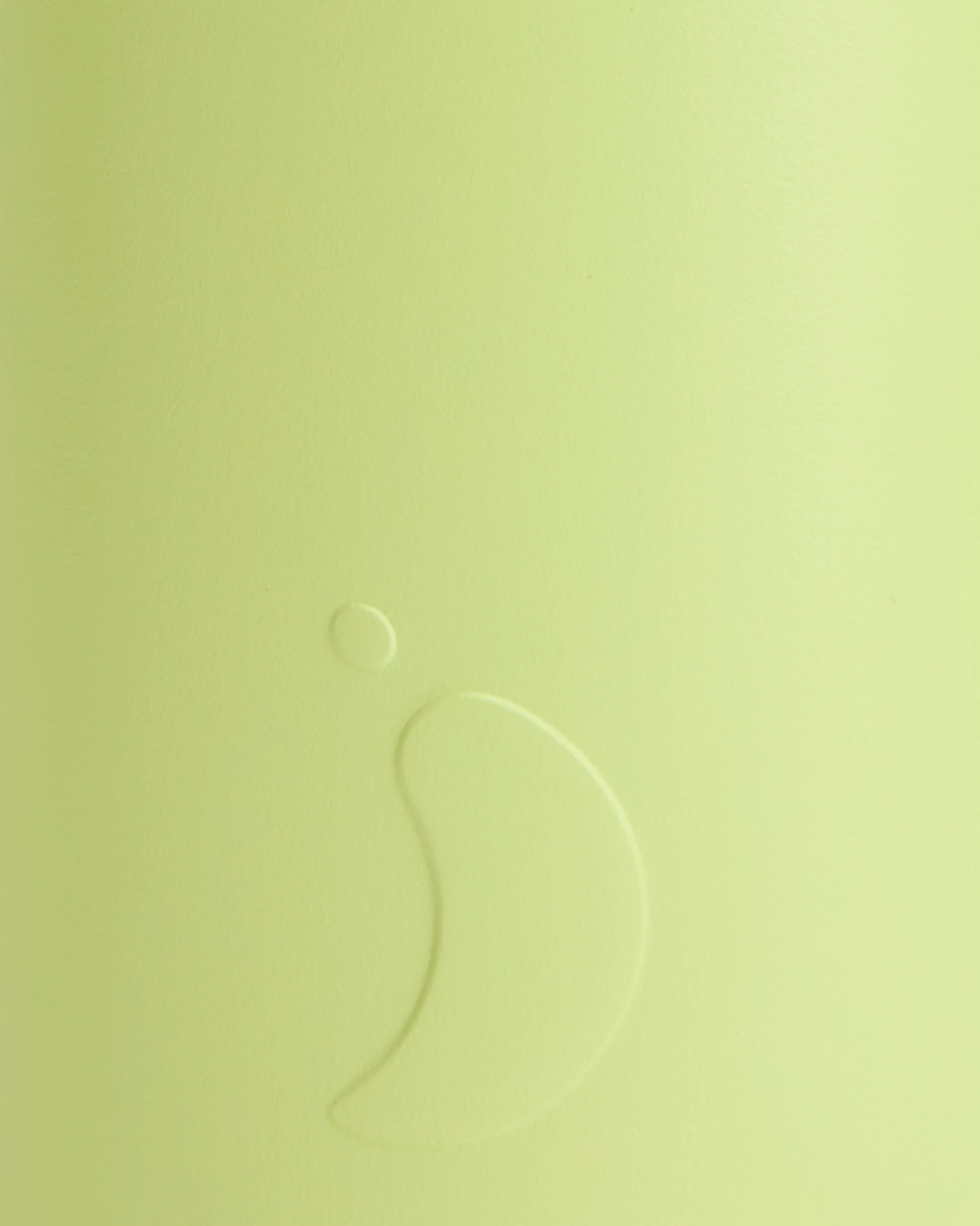 Limelite Water Bottle - Image 7