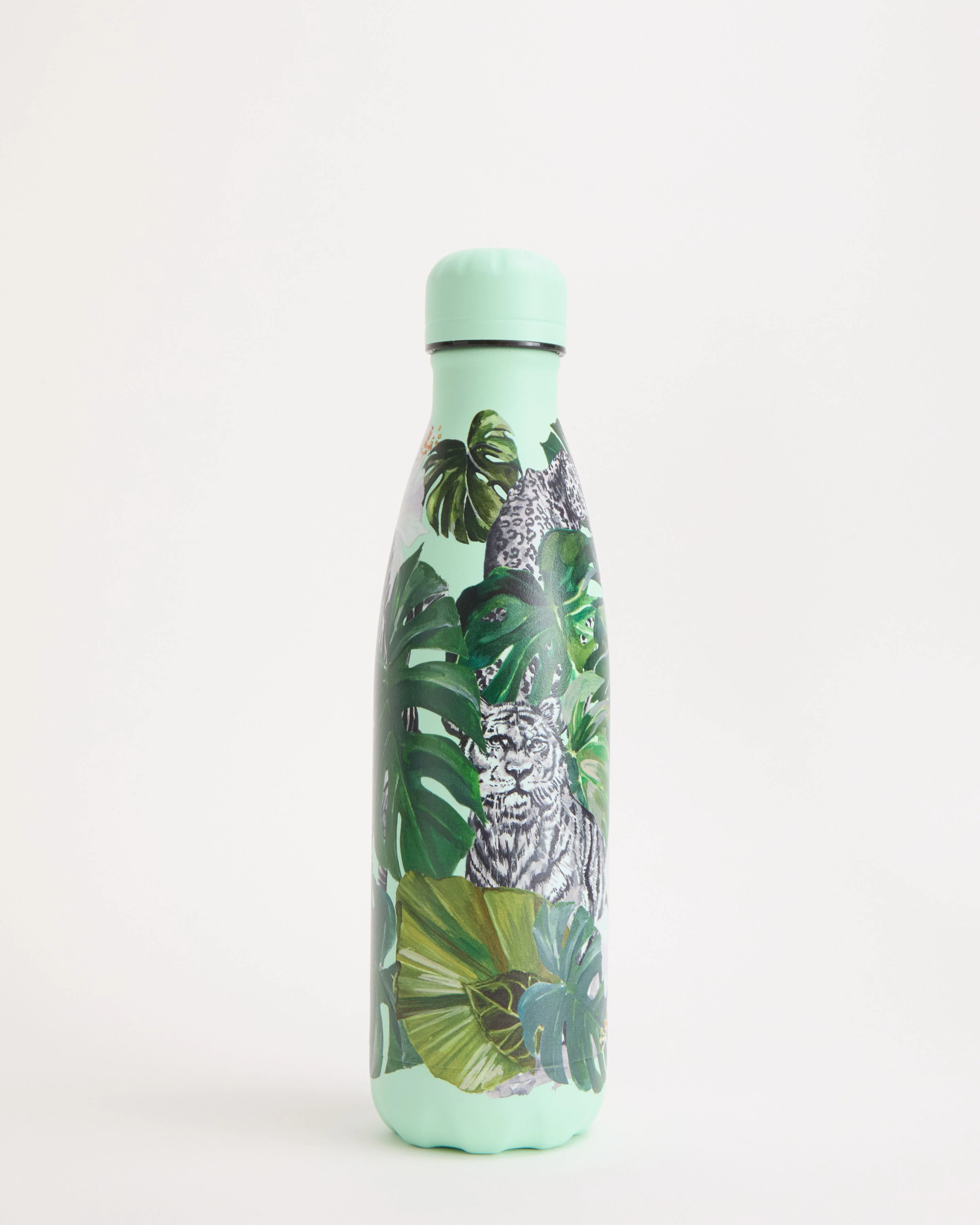 Wild Monstera Water Bottle - Image 3