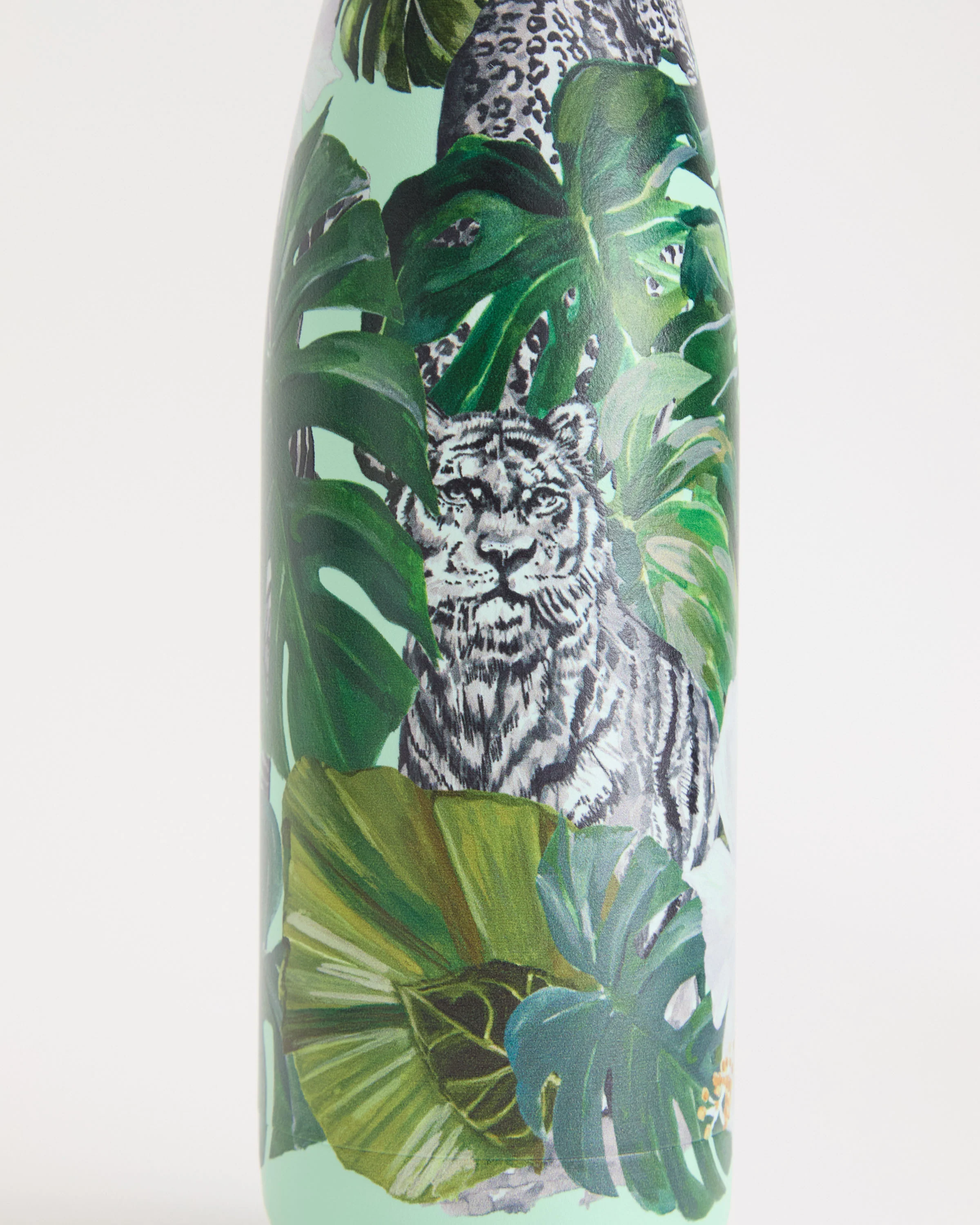 Wild Monstera Water Bottle - Image 5